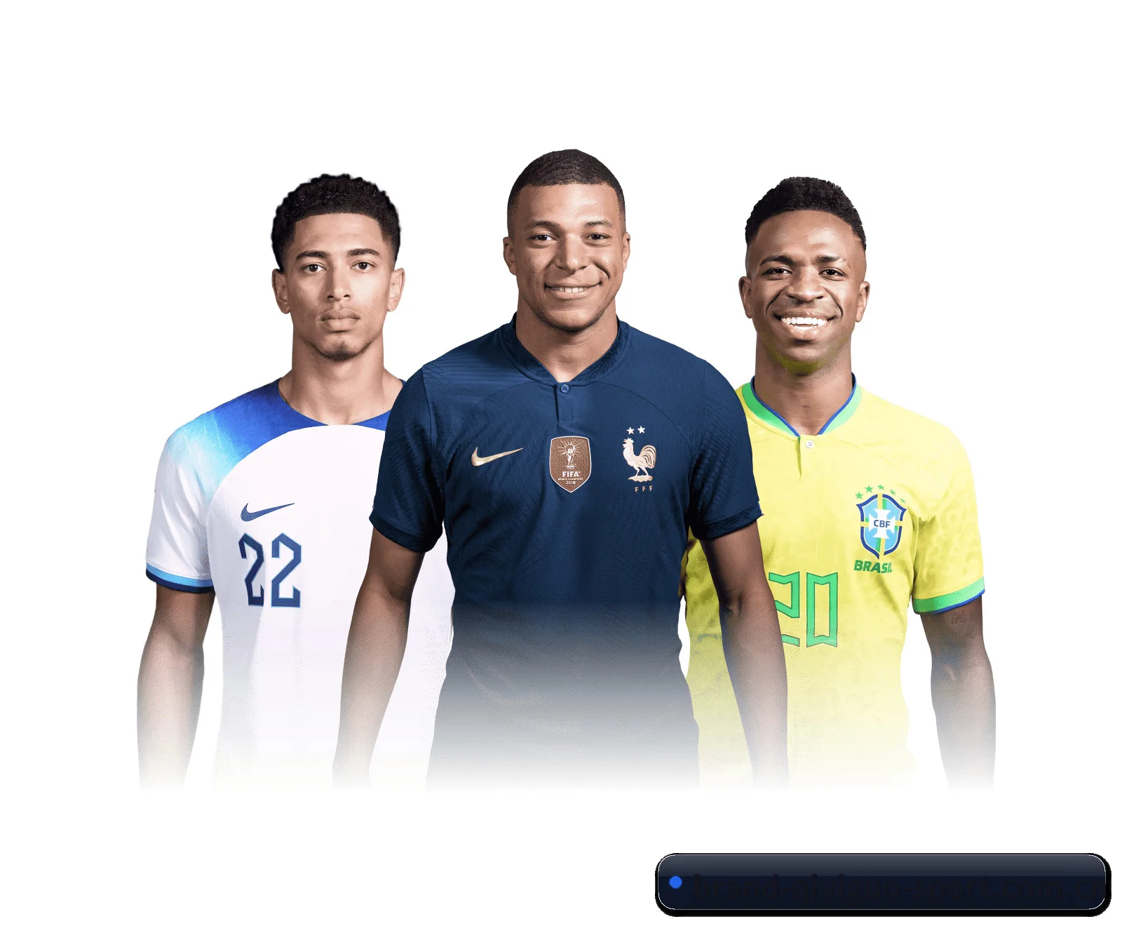 五维频道网格化布局 · 环球体坛电讯按项归仓